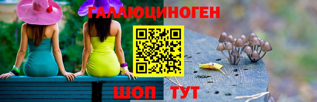 Псилоцибиновые грибы Psilocybine cubensis Наро-Фоминск